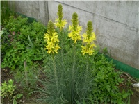 4e06c17d-Picture 5869.jpg